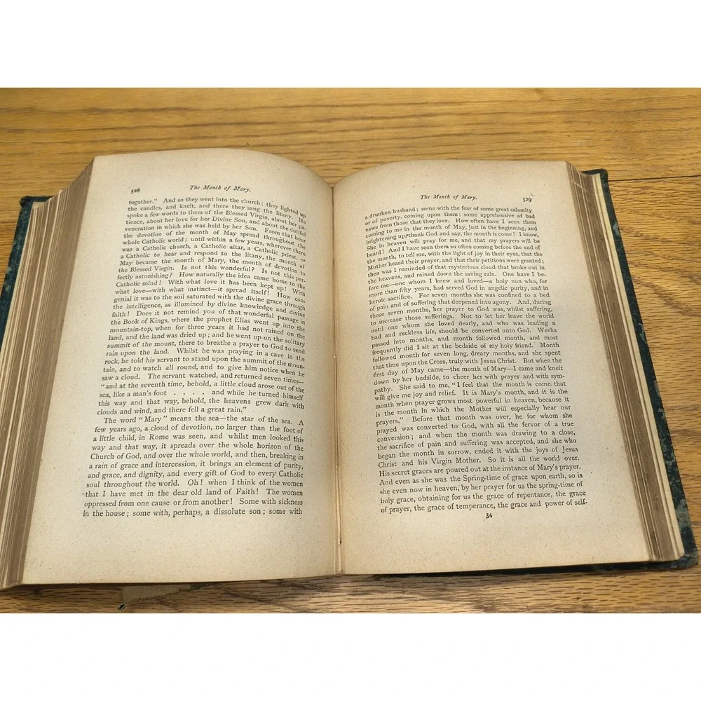 Father Burke's Lectures and Sermons 1872‎ By Very Rev Thomas N Burke RARE